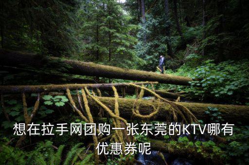 想在拉手網(wǎng)團(tuán)購(gòu)一張東莞的KTV哪有優(yōu)惠券呢
