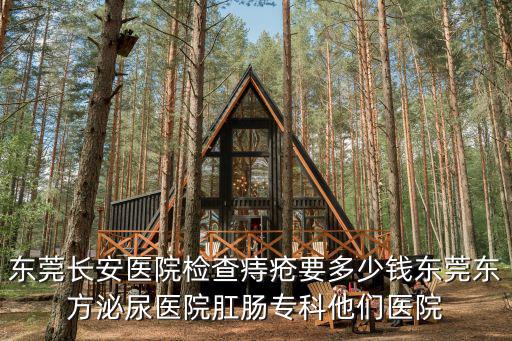 東莞長安醫院檢查痔瘡要多少錢東莞東方泌尿醫院肛腸專科他們醫院