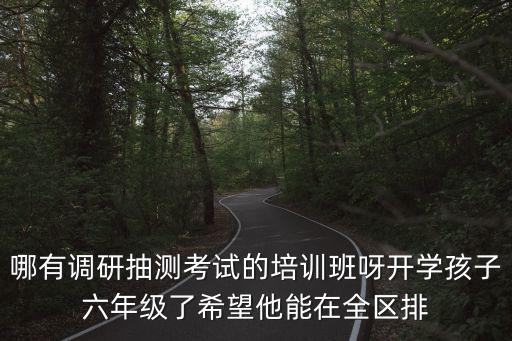 哪有調研抽測考試的培訓班呀開學孩子六年級了希望他能在全區排