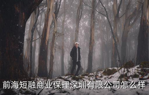 海前商業(yè)保理深圳有限公司，深圳市前海海岸商業(yè)保理有限公司怎么樣