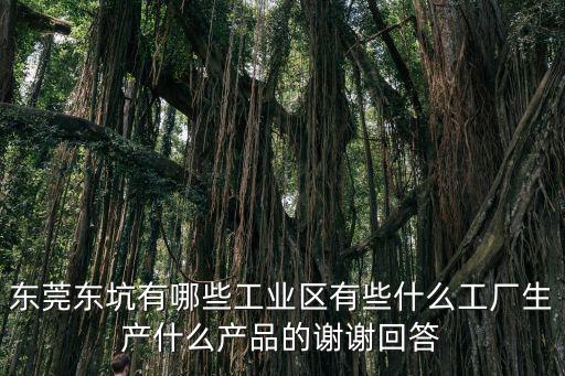 東莞東坑有哪些工業區有些什么工廠生產什么產品的謝謝回答