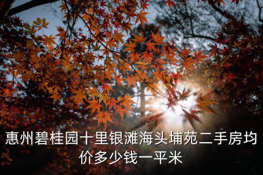 惠州碧桂園十里銀灘海頭埔苑二手房均價多少錢一平米