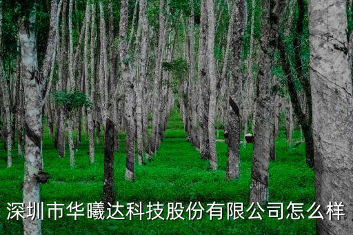 深圳市海源芯微電子有限公司，HS9148B芯片是哪家公司的