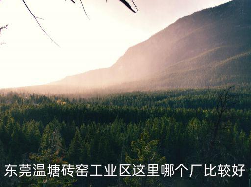 東莞溫塘磚窯工業區這里哪個廠比較好