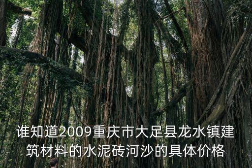 誰知道2009重慶市大足縣龍水鎮建筑材料的水泥磚河沙的具體價格