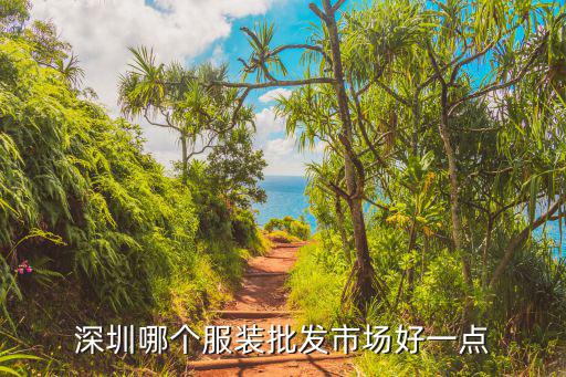 深圳哪個服裝批發市場好一點