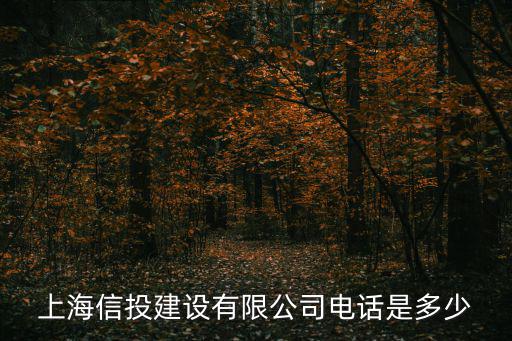 上海信投建設(shè)有限公司電話是多少