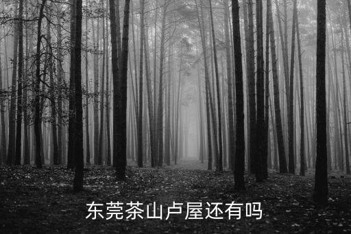 東莞茶山盧屋還有嗎