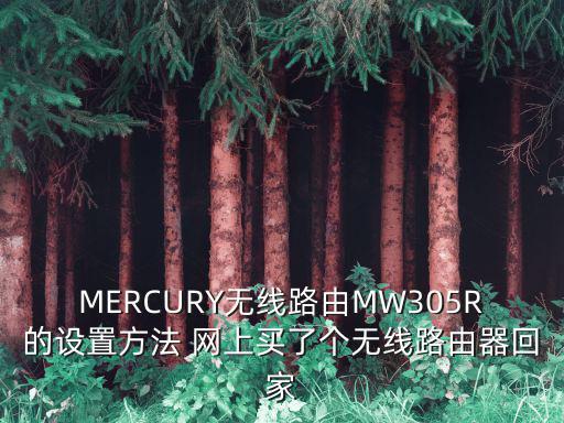 MERCURY無線路由MW305R的設置方法 網上買了個無線路由器回家