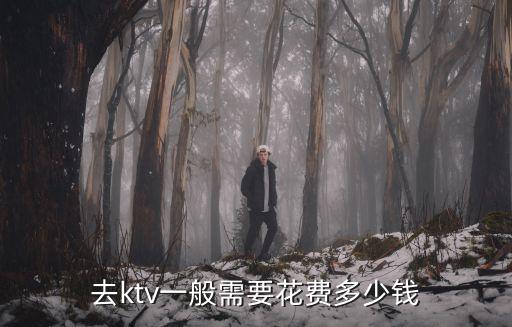 天津市永旺ktv多少錢，天津KTV迷你包