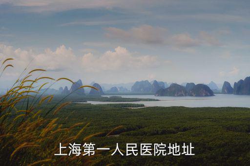 上海市第醫院一人民，上海第一人民醫院