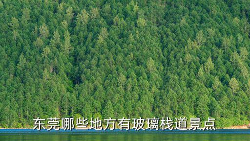 東莞哪些地方有玻璃棧道景點