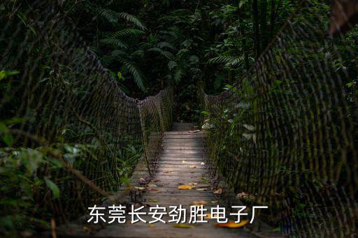 東莞長安勁勝電子廠
