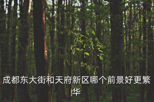 天府新區比較成都市區，成都東大街和天府新區哪個前景好更繁華