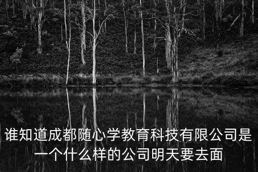 誰知道成都隨心學(xué)教育科技有限公司是一個什么樣的公司明天要去面