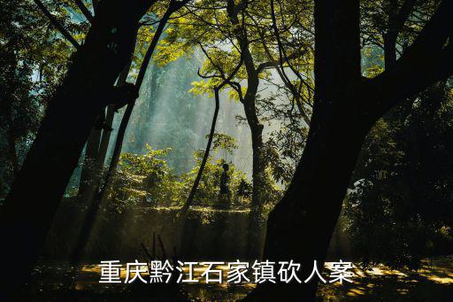 重慶黔江石家鎮(zhèn)砍人案