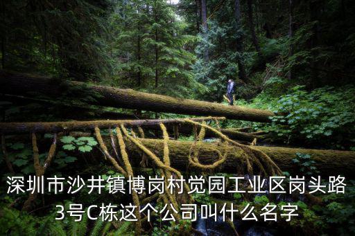 深圳市頓佳實業有限公司，深圳市沙井鎮博崗村覺園工業區崗頭路3號C棟這個公司叫什么名字