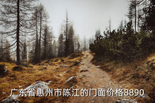 廣東省惠州市陳江的門面價格8890