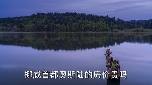 挪威首都奧斯陸的房價(jià)貴嗎