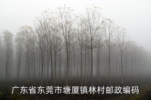 廣東省東莞市塘廈鎮林村郵政編碼