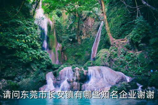 請(qǐng)問(wèn)東莞市長(zhǎng)安鎮(zhèn)有哪些知名企業(yè)謝謝