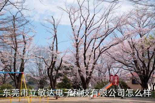 東莞市立敏達電子科技有限公司怎么樣