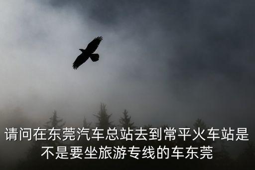請問在東莞汽車總站去到常平火車站是不是要坐旅游專線的車東莞
