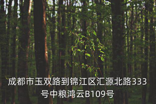 成都市玉雙路到錦江區匯源北路333號中糧鴻云B109號
