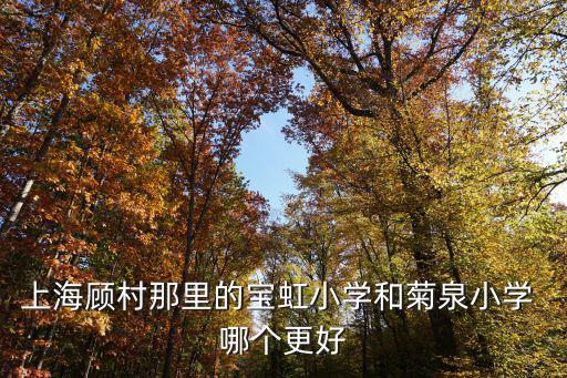 上海顧村那里的寶虹小學和菊泉小學 哪個更好