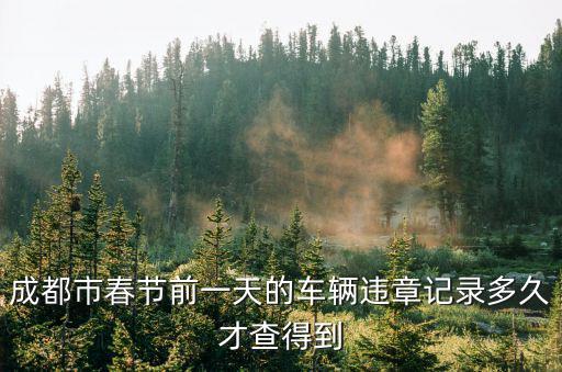 成都市春節(jié)前一天的車輛違章記錄多久才查得到