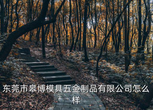 東莞市皋博模具五金制品有限公司怎么樣