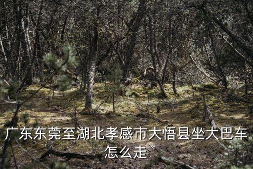廣東東莞至湖北孝感市大悟縣坐大巴車怎么走