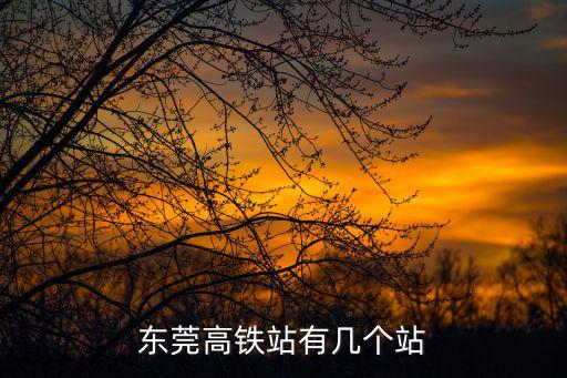 東莞高鐵站有幾個站