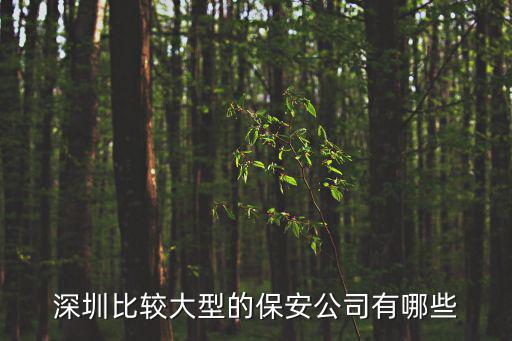 深圳比較大型的保安公司有哪些
