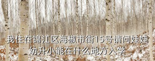 我住在錦江區海椒市街15號請問娃娃幼升小能在什么地方入學