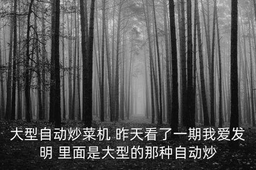 大型自動炒菜機 昨天看了一期我愛發明 里面是大型的那種自動炒