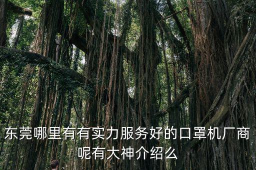 東莞哪里有有實力服務(wù)好的口罩機廠商呢有大神介紹么