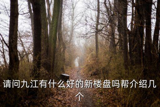 九江哪個小區房價最好，請問九江有什么好的新樓盤嗎幫介紹幾個