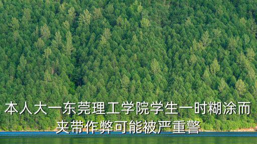 本人大一東莞理工學(xué)院學(xué)生一時(shí)糊涂而夾帶作弊可能被嚴(yán)重警