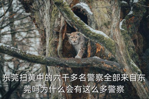 為什么要對東莞掃黃，中國為什么偏偏選擇在東莞掃黃后果是什么樣呢