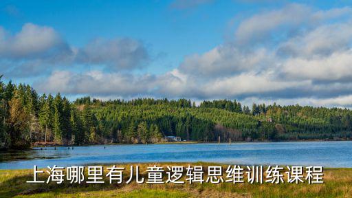 上海哪里有兒童邏輯思維訓練課程
