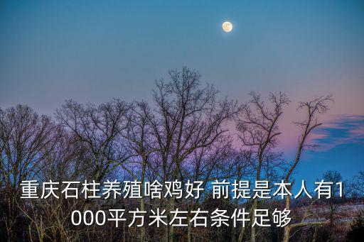 重慶石柱養殖啥雞好 前提是本人有1000平方米左右條件足夠