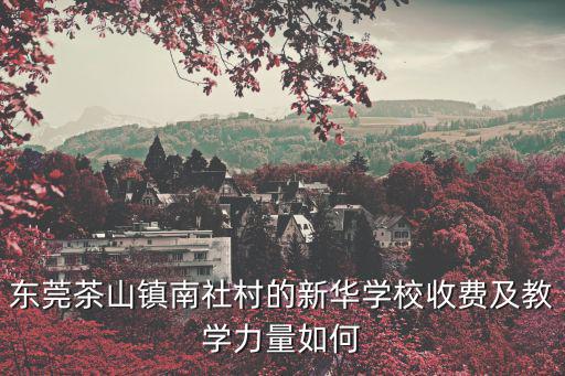 東莞茶山鎮(zhèn)南社村的新華學(xué)校收費(fèi)及教學(xué)力量如何
