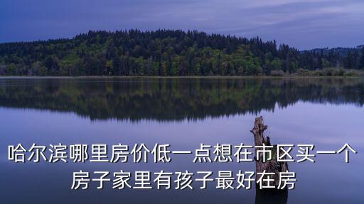 龍池哪個學(xué)校房價最低的，哈爾濱哪里房價低一點想在市區(qū)買一個 房子家里有孩子最好在房
