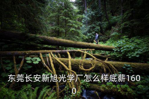 東莞長安新旭光學廠怎么樣底薪1600