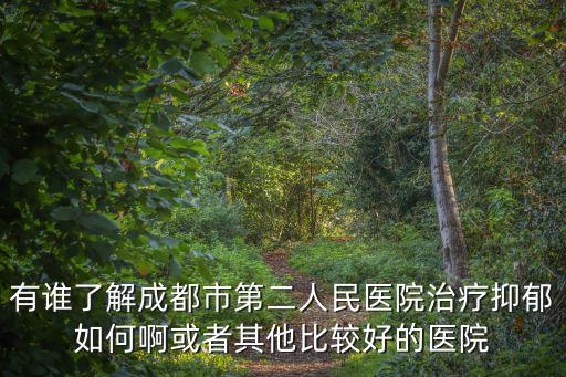 有誰了解成都市第二人民醫院治療抑郁如何啊或者其他比較好的醫院