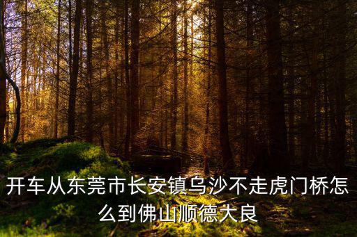 開車從東莞市長安鎮烏沙不走虎門橋怎么到佛山順德大良