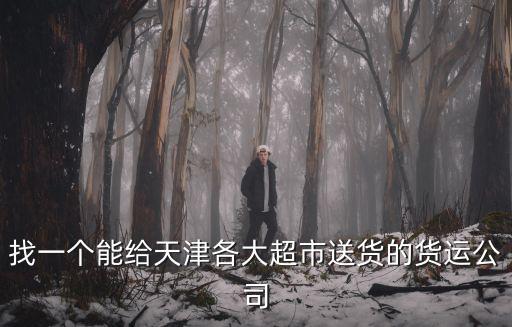 找一個能給天津各大超市送貨的貨運公司