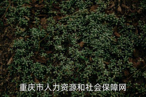 重慶市人力資源和社會保障網