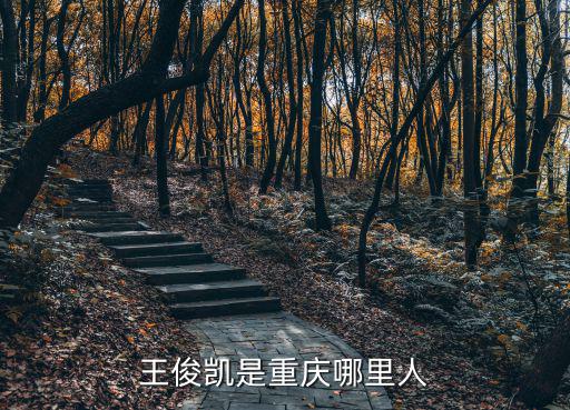王俊凱是重慶哪里人